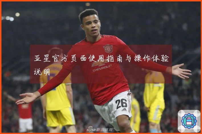 亚星官方页面使用指南与操作体验说明